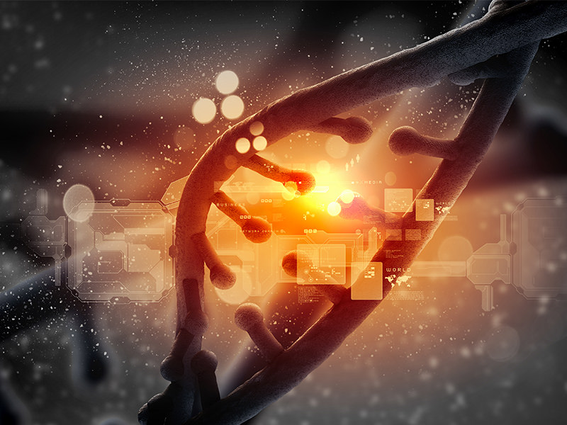 DNA Molecules 1 DNA Molecules 1