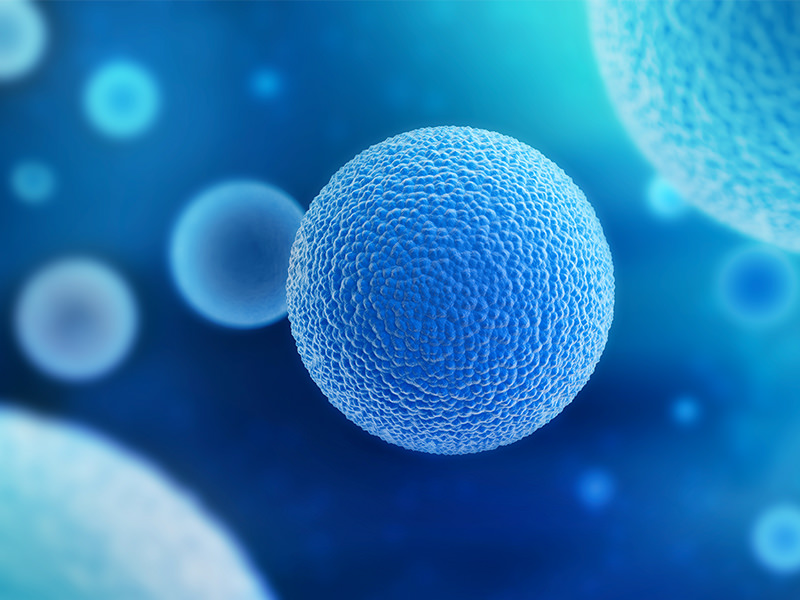 Cells at Microscopic Level Cells at Microscopic Level
